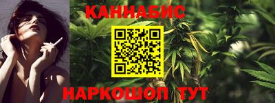 СК Обь