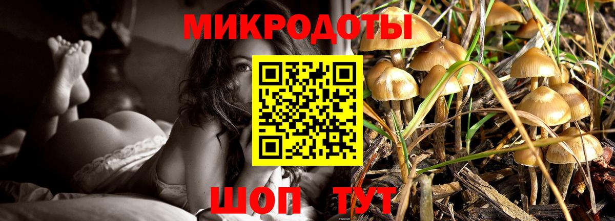 Галлюциногенные грибы GOLDEN TEACHER  Вход с VPN  Псилоцибиновые грибы Cubensis  Топки 